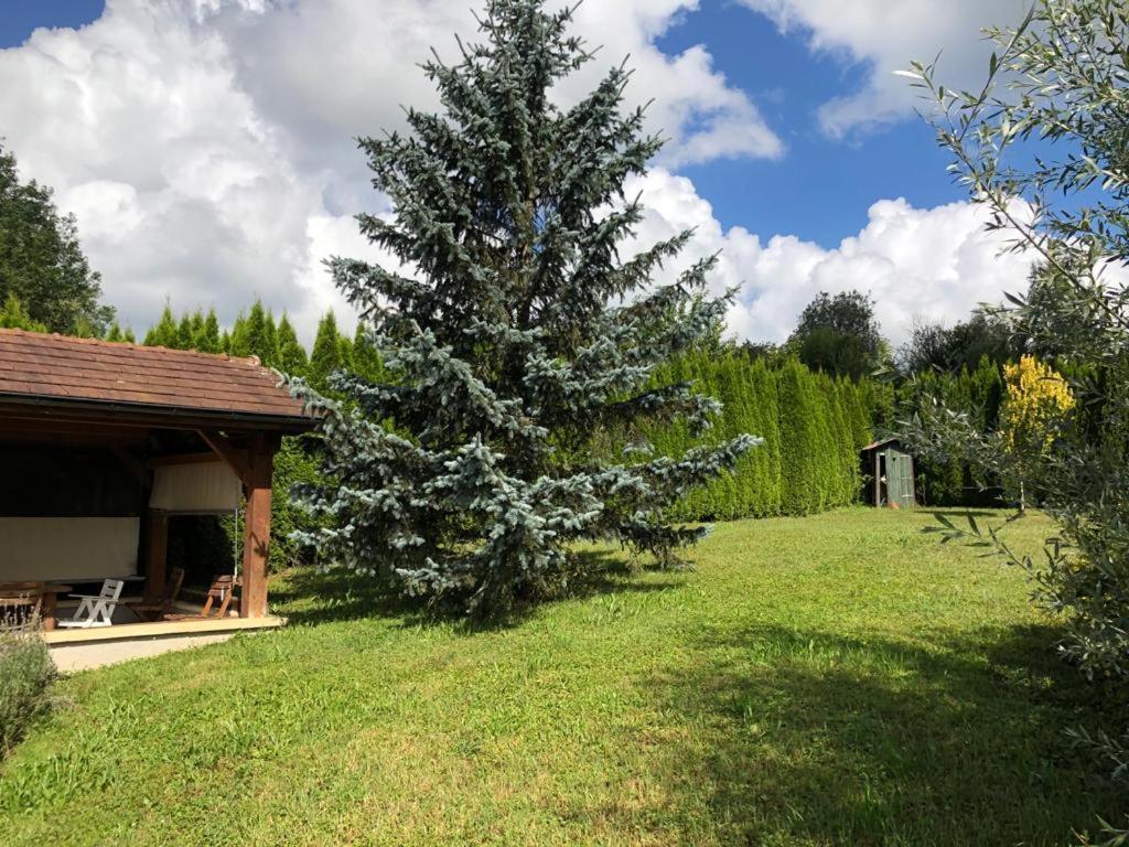 Maison/Gîte familial dans le Jura à 200m du lac avec piscine privée Marigny  Exterior foto