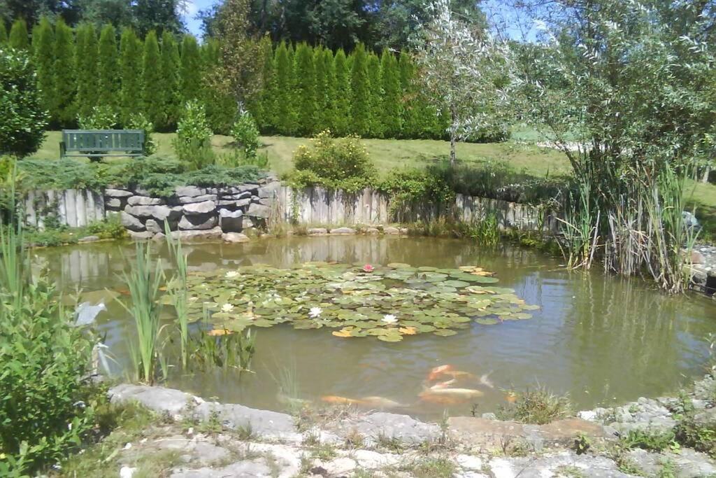 Maison/Gîte familial dans le Jura à 200m du lac avec piscine privée Marigny  Exterior foto