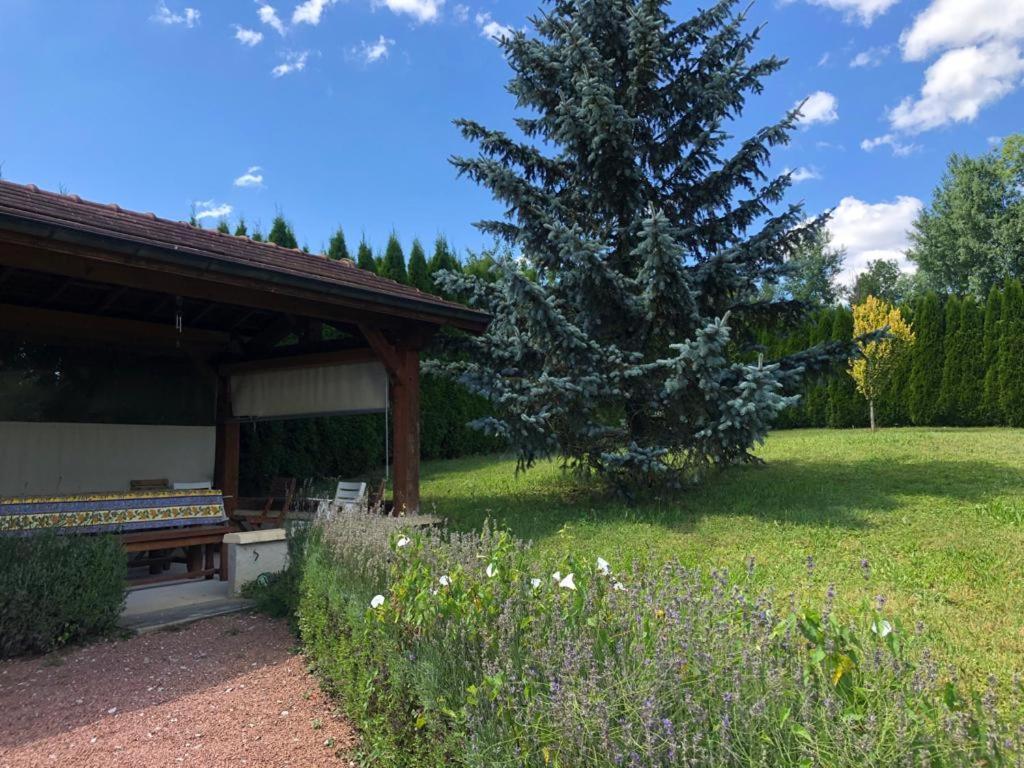 Maison/Gîte familial dans le Jura à 200m du lac avec piscine privée Marigny  Exterior foto