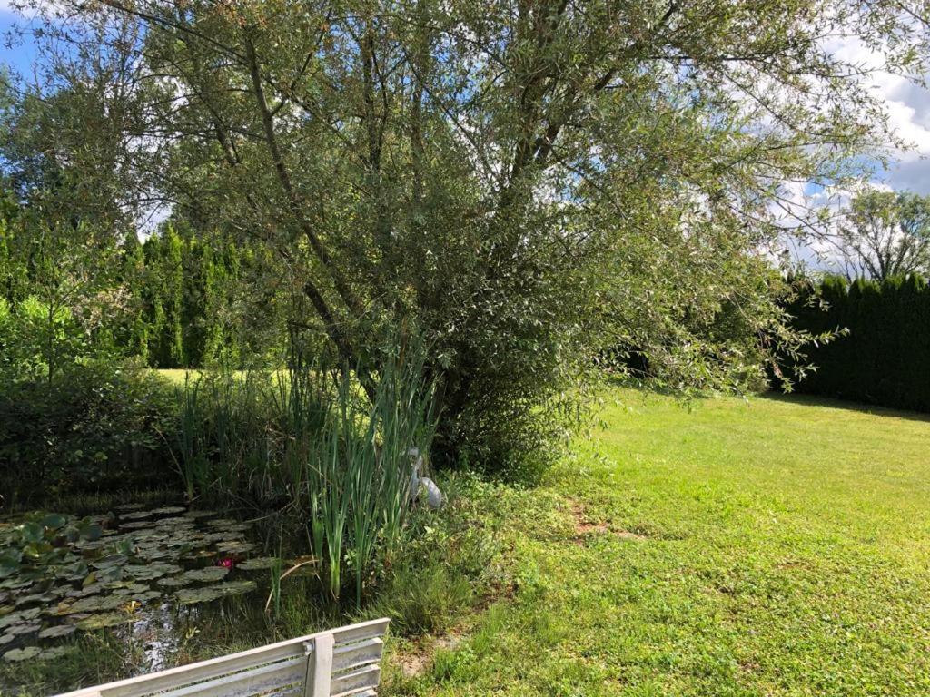 Maison/Gîte familial dans le Jura à 200m du lac avec piscine privée Marigny  Exterior foto